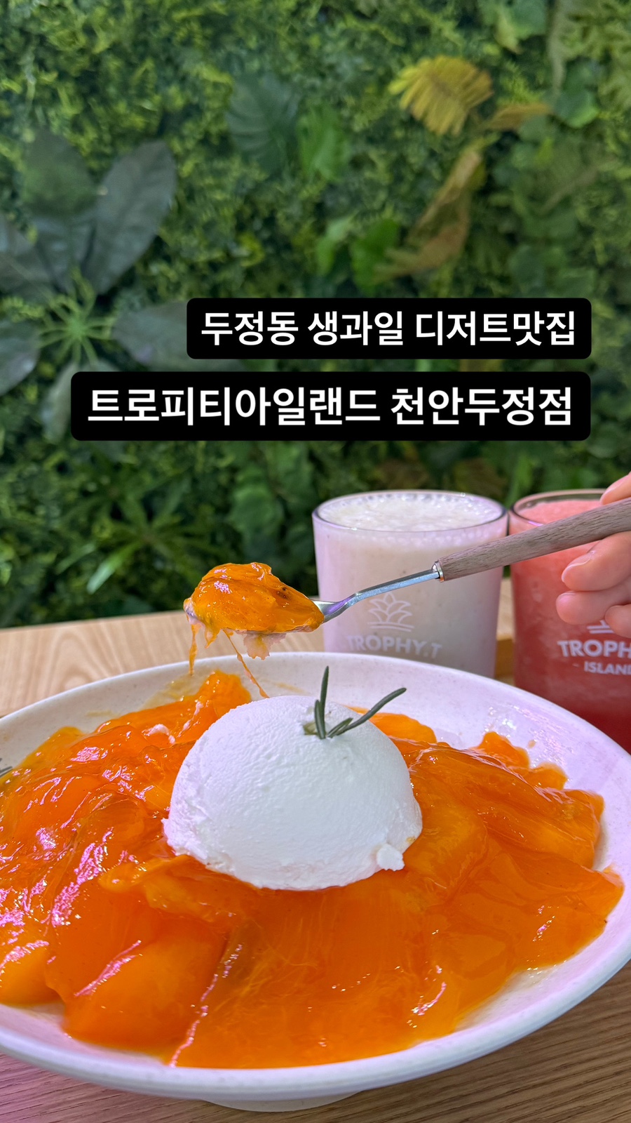 트로피티아일랜드천안두정점 이미지