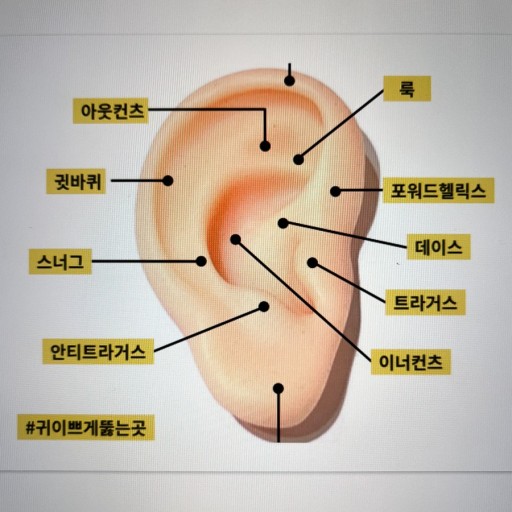 피어싱갤러리 이미지