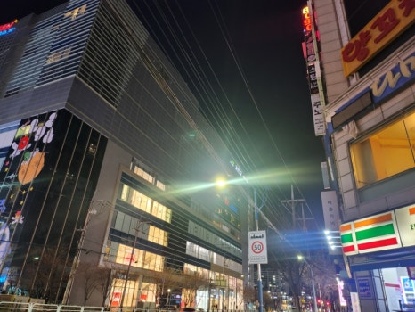 싱삼 이미지