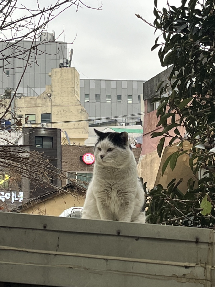가현아구찜 이미지