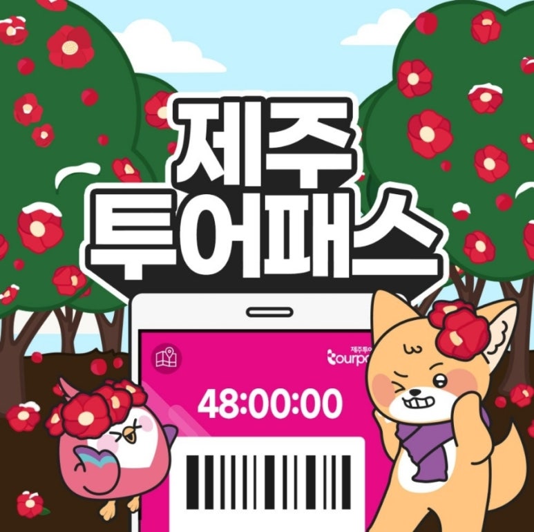 제주포인트투어 이미지