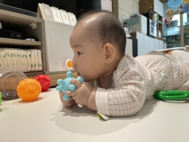 굿모닝토토 이미지
