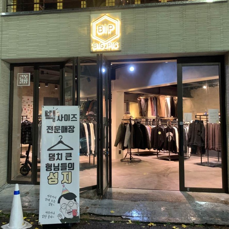 빅픽 이미지
