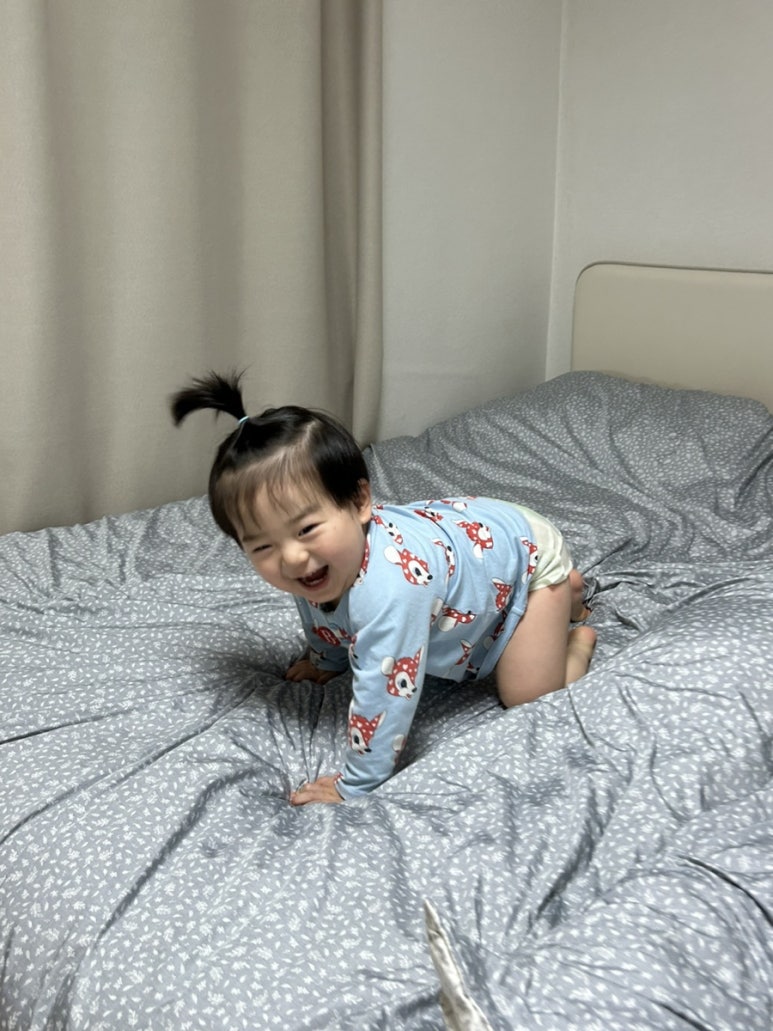 썸머클로버 이미지