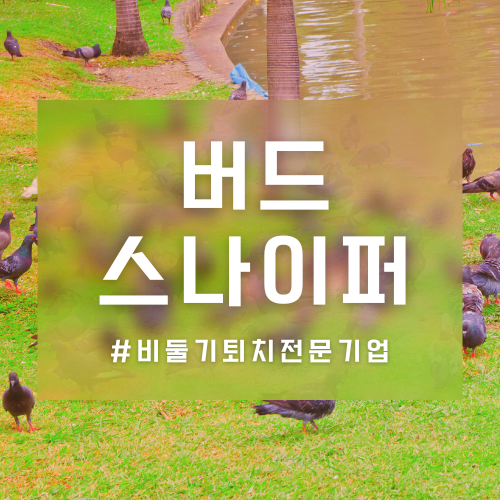 청소스나이퍼 이미지