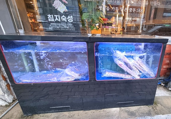 꿈돈 168 동산점 이미지