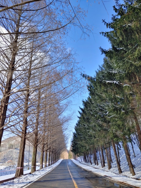 곰티(익산) 이미지