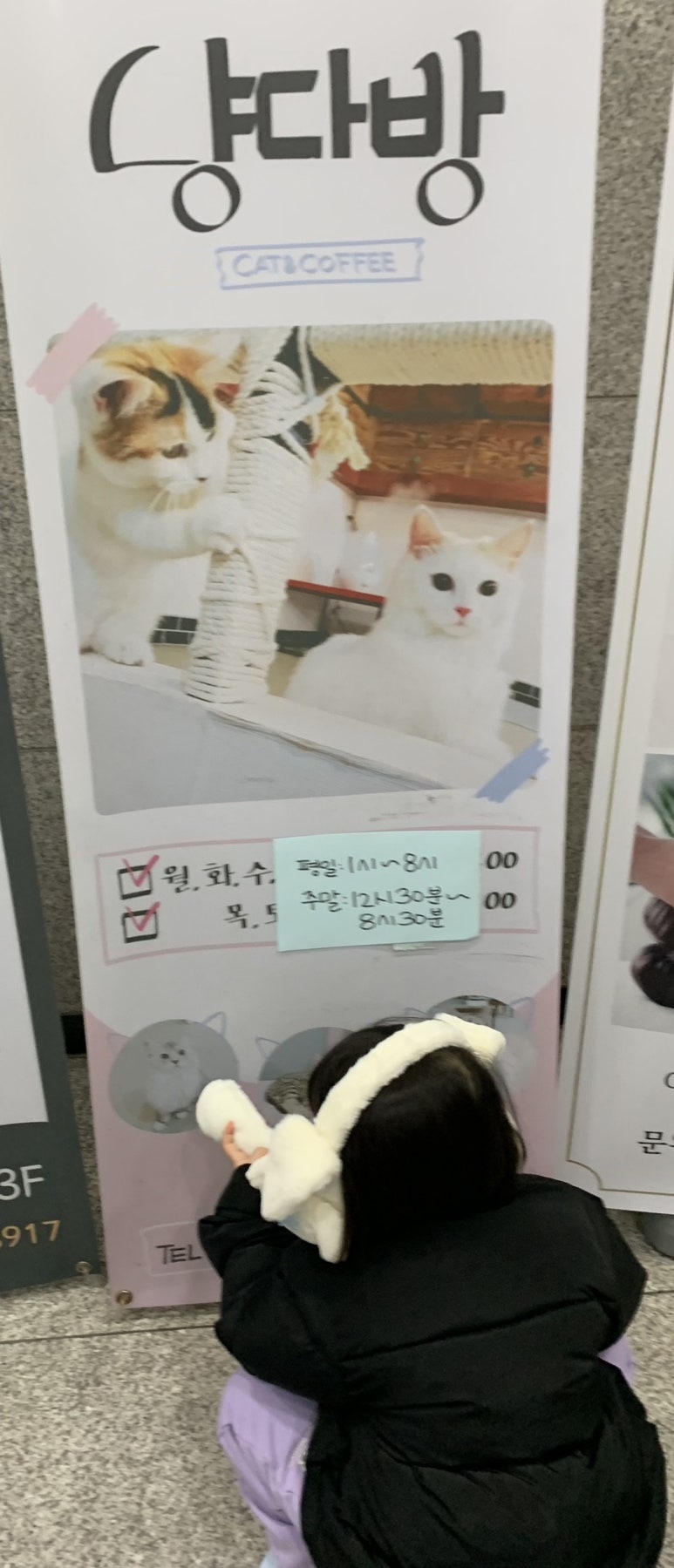 냥다방 이미지