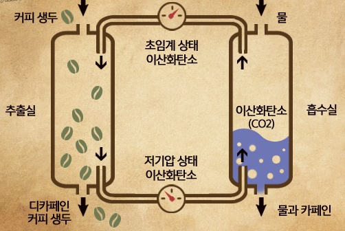 상봉서울바리스타학원 이미지