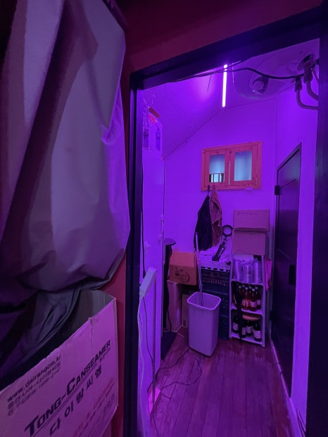 바나프레소도산 이미지