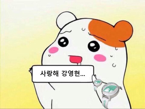 케이투어 이미지