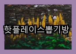 핫뽑기방 이미지