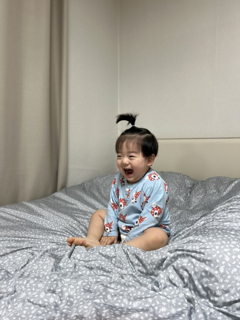 파티세리러츠 이미지