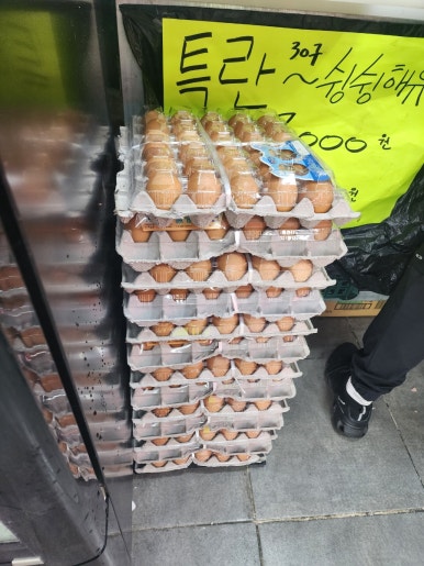 청년정육점 이미지
