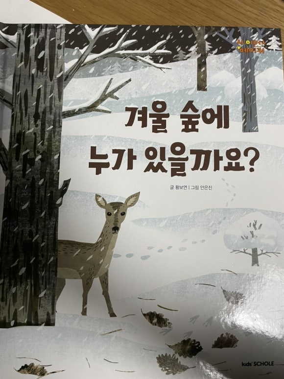 숲속머리방 이미지