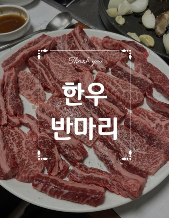 한우반마리 이미지