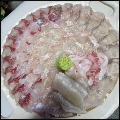 광코 이미지