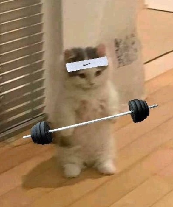 보드타임 이미지