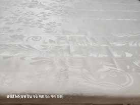 홈클린365 이미지