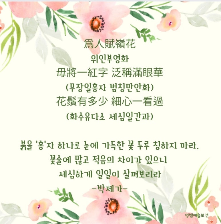꽃으로노래하다 이미지