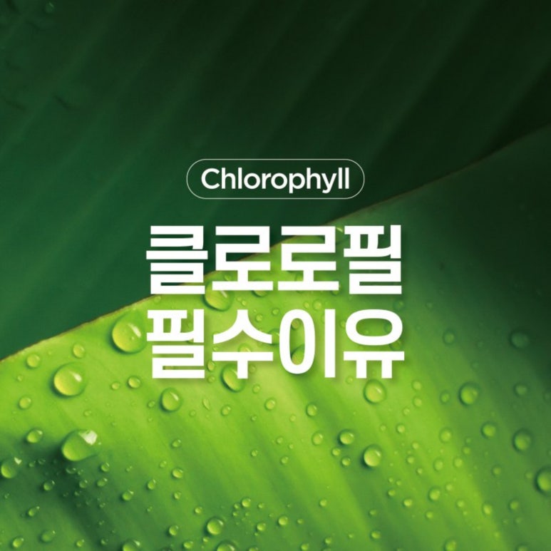 트루그린 이미지