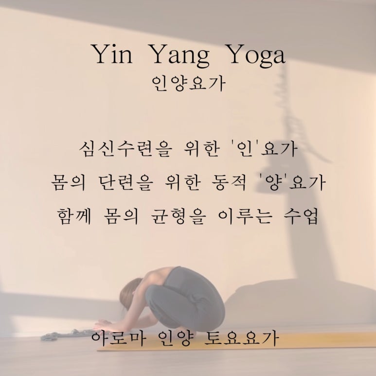 토요요 이미지