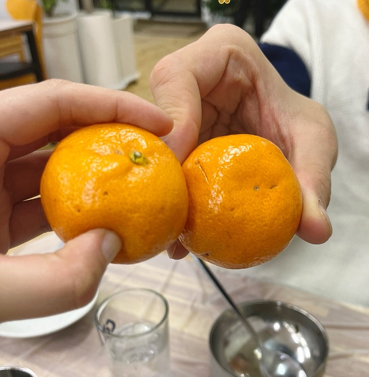 자매물회 이미지