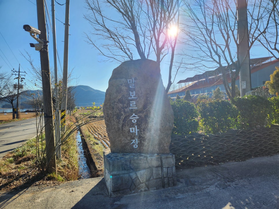 말보르승마장 이미지