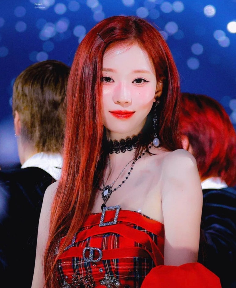 살롱드비율 이미지