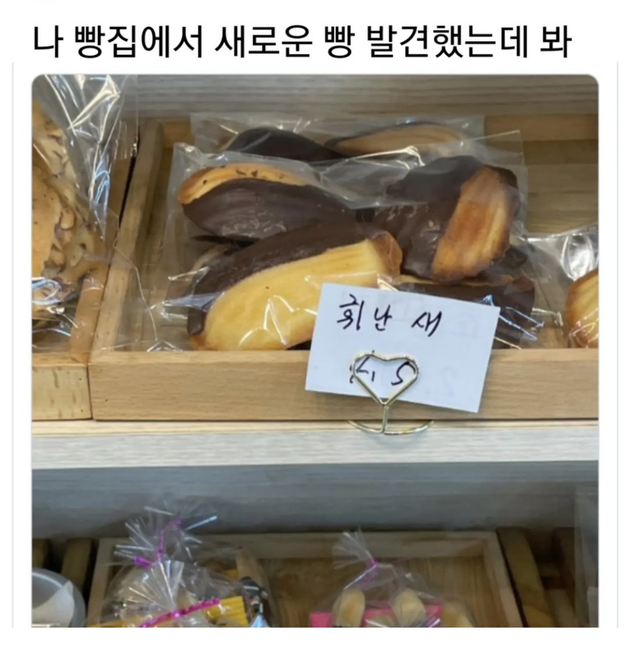 휘난새 이미지
