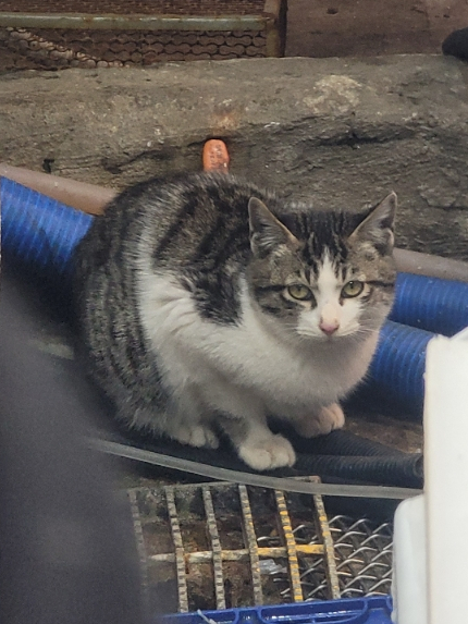 덕이수산 이미지