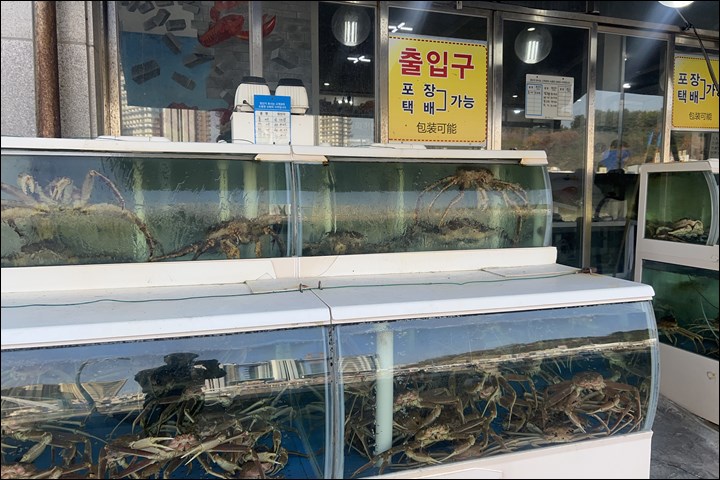 대포씨푸드 이미지