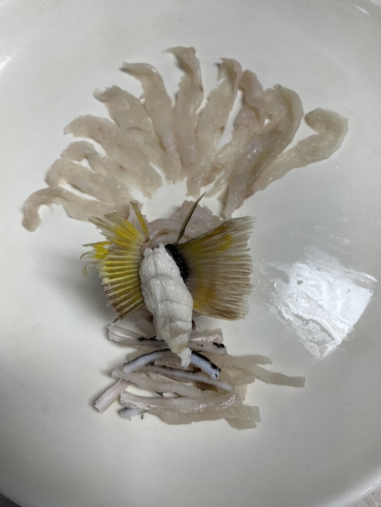 복어학교 이미지