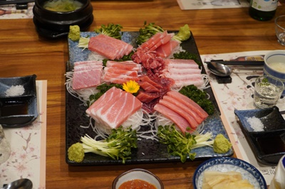 기꾸참치 이미지