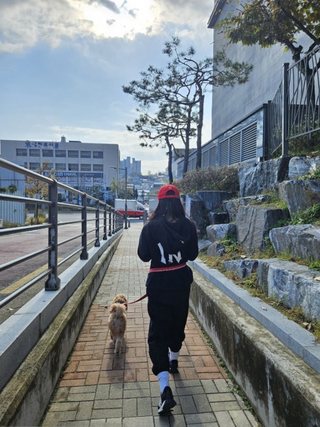 단이마켓 이미지