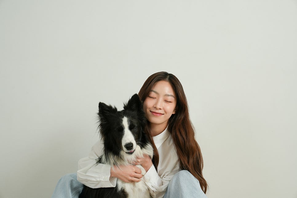 버틀랩 이미지