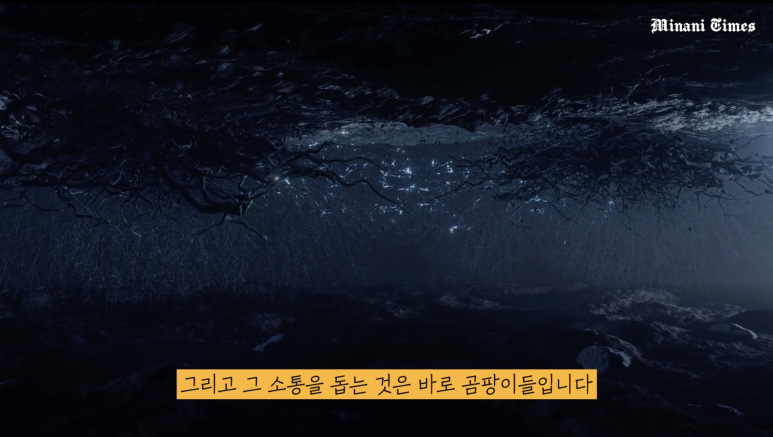 식물들의 소통 이미지