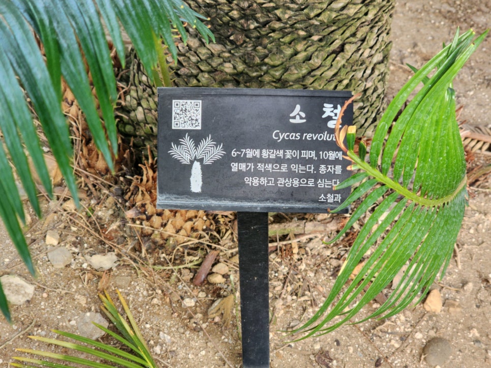 강원꽃식물원 이미지