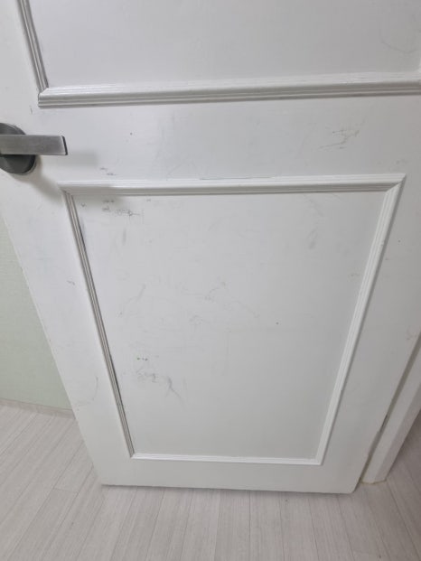 현장 사진