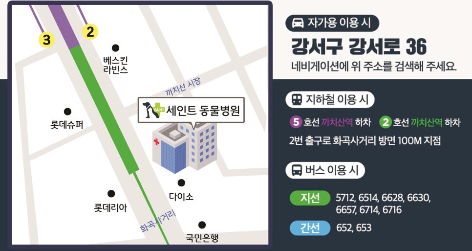 세인트동물병원