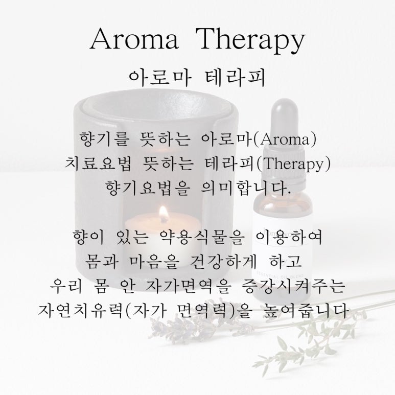 토요요 이미지
