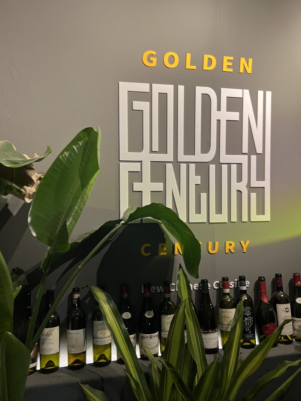 골든센트리GoldenCentury 이미지