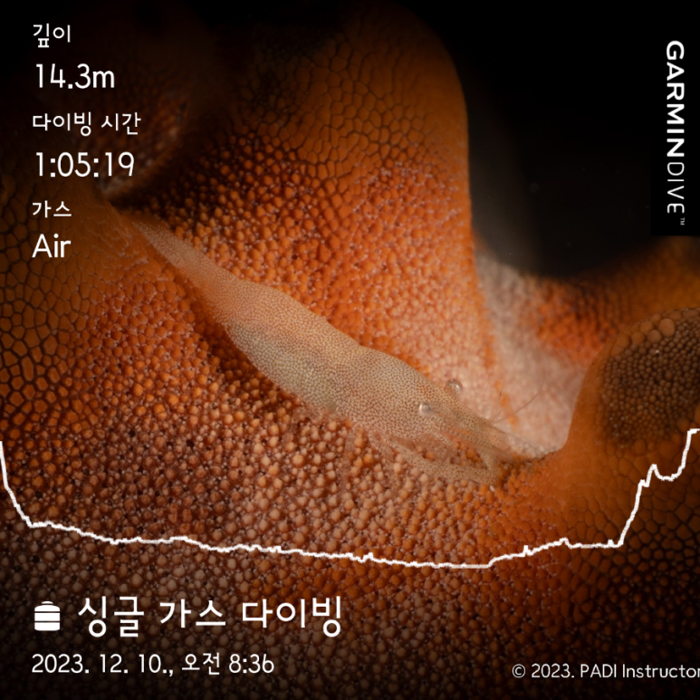 테드다이브 이미지