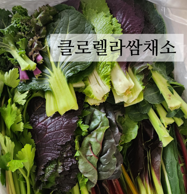 농부의꿈 이미지