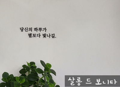 보니타살롱 이미지