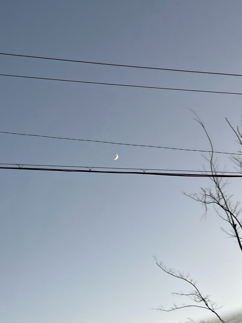 철길부산집 공도점 이미지