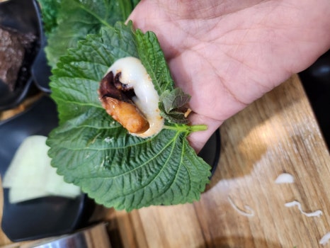 보배쭈꾸미 이미지