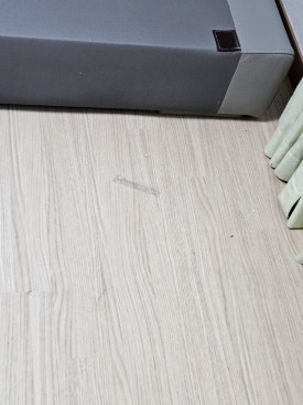 청새로이 이미지