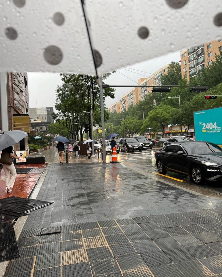 살롱드루시 이미지