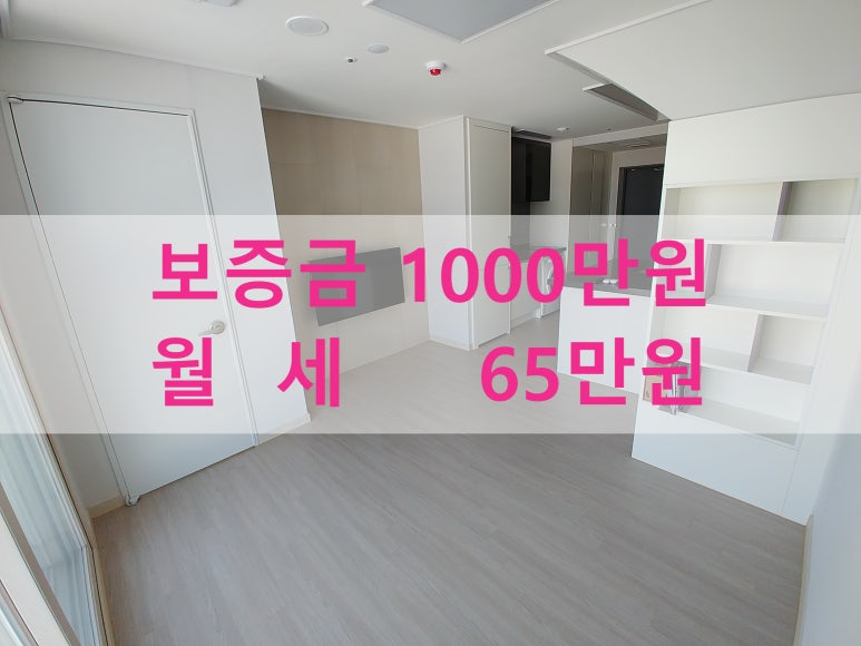 주식회사 라온베이 이미지